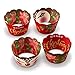 Funky Fledgling Christmas Reindeer Rudolph Cupcake Wrappers and Toppers - 24 Set - Gold, Disposable - Perfect for Birthday, Christmas, Parties, School Occasions