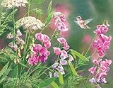 LANG - Wild Sweet Pea Boxed Note Cards, 13 Cards and Envelopes, Artwork by Susan Bourdet, 4