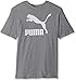 PUMA Men's Archive Life T-shirt Shirt, medium gray heather-white, L