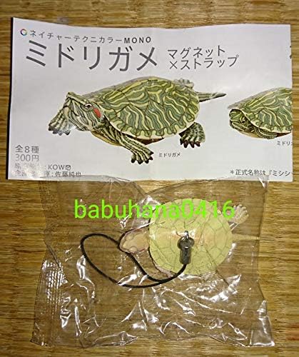 Amazon Co Jp 袋未開封 ネイチャーテクニカラーmono ミドリガメ マグネット ストラップ アルビノ ストラップver 単品 奇譚クラブ カメ 亀 ホビー 通販