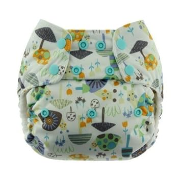 blueberry reusable nappies