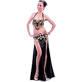 ROYAL SMEELA Belly Dance Costume Set for Women Professional Belly Dance Bra and Belt Belly Dancing Skirt Slit Carnival Outfit