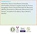 Baby Mantra Diaper Rash Ointment - EWG Verified Diaper Cream made with Natural, Hypoallergenic Ingredients - Best for Newborns, Babies, and Toddlers with Sensitive Skin - 3.4 Ounce Tube