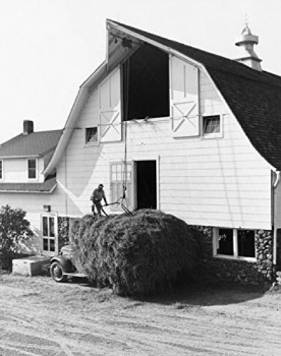 Amazon Com Posterazzi Man Storing Hay In A Barn Poster Print 18
