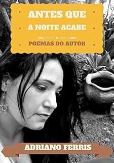 Livro Antes Que A Noite Acabe