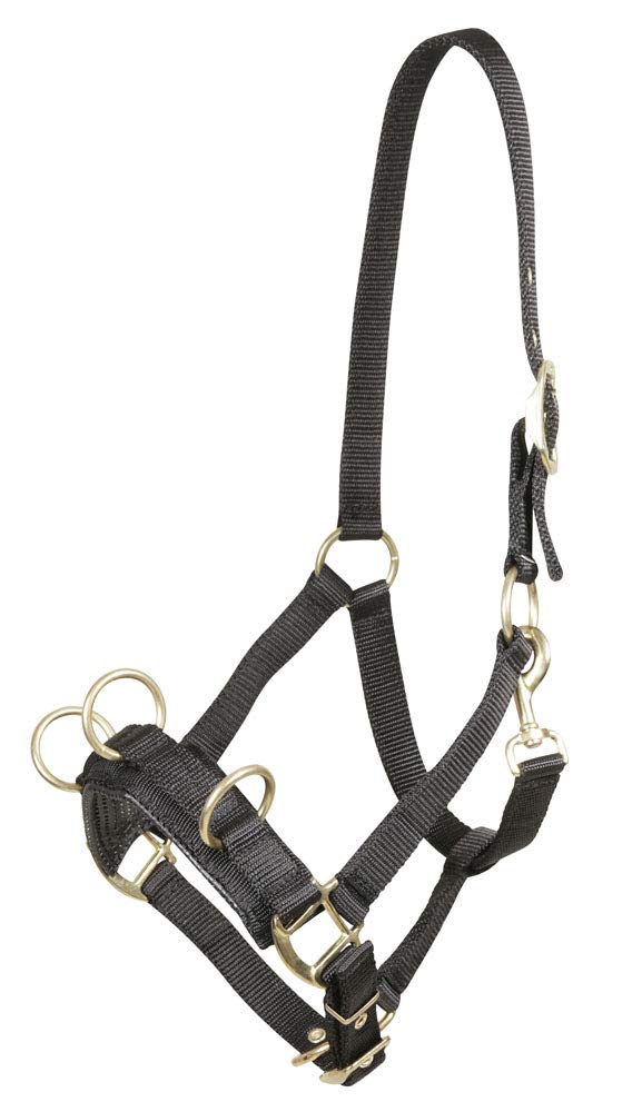 PFIFF Cavesson with gold-coloured fittings, black full