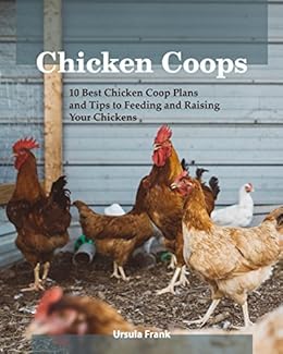 Chicken Coops 10 Best Chicken Coop Plans And Tips To Feeding And