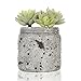 MyGift 4.7-Inch Realistic Artificial Green Succulent Plant Arrangement in Vintage Distressed Gray Ceramic Jar Pot