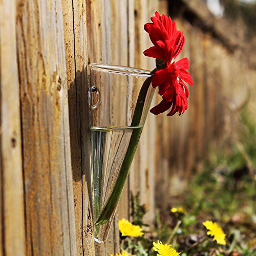 Siyaglass Hanging Clear Glass Taper Wall mount Vase Kuwait Ubuy