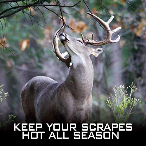 RAW Frozen Scents Scrape Lure Deer Attractant Urine Pure Whitetail
