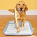 Simple Solution Dog Training Pad Holder, Fits Pads 21 by 21-Inch or Larger