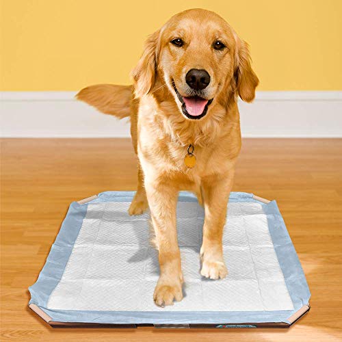 Simple Solution Dog Pad Holder Portable Tray for Pet Training and Puppy Pads Protection