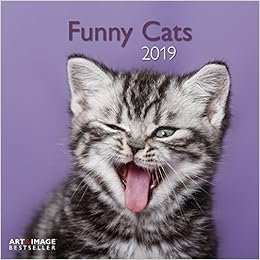 Funny Cats 2019 Broschurenkalender 4002725960733 Amazon Com Books Funny Cats 2019 Broschurenkalender 4002725960733 Amazon Com Books