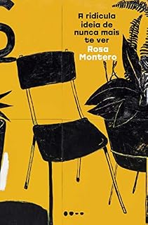 Livro A ridícula ideia de nunca mais te ver
