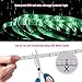 LED Strip Light Kit 32.8ft Flexible Tape Lights 5050 SMD RGB Rope Light with 44 Keys IR Remote Controller and 12V Power Adapter for Home Kitchen Party Deco