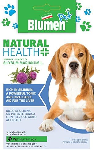 Blumens - Grow Plants for Pets - Dog - Silybum marianum - Milk Thistle Seed