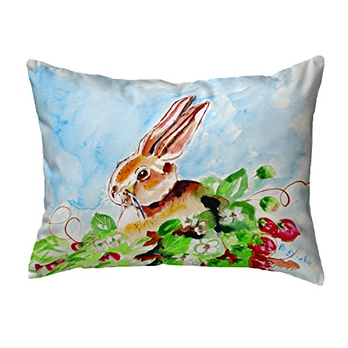 Betsy Drake Polyester Throw Pillows Jack Rabbit Left No Cord Pillow 16X20 20 X 6 X 16 Inches Multicolored