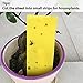 BESKIT 20-Pack Dual-Sided Yellow Sticky Traps for Fungus Gnat, Whitefly, Aphid, Leaf Miner, Other Flying Insects, Bugs (10x6 Inches, 20pcs Twist Ties Included)