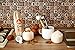 CocoNUT Opener Tool Set for Young Coconut | Coconut Opener Set with Hammer for a Safe&Easy Opening | Food Safe Stainless Steel Coconut Opener Tool with Meat Removal to enjoy your CocoNUT