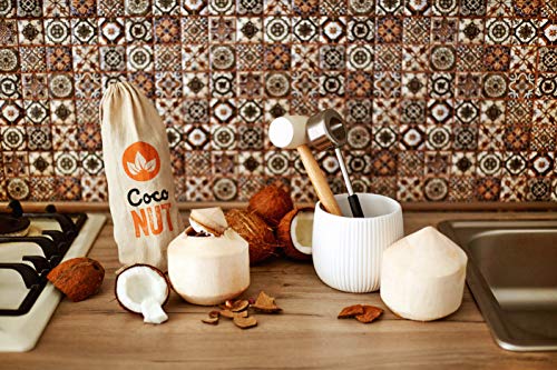 6 CocoNUT+Coconut+Opening+Stainless+Removal