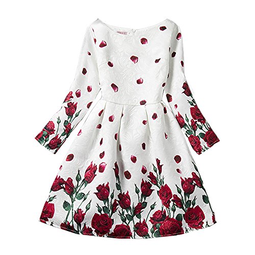 AG2 Long Sleeves Red Roses Petal Printed Pattern Dress Girl 7-14 USA