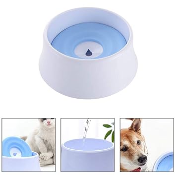 dog choking on water