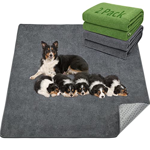 The Best Whelping Pads For Dogs Dogtime