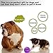 Toy Ball for Dogs [Dental Treat][Bite Resistant] Jakpak Durable Non-Toxic Strong Tooth Cleaning Dog Toy Balls for Pet Training/Playing/Chewing,Soft Rubber,Bouncy,Tennis Ball Size 2.8 Inch