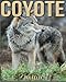 Coyote: Children Book of Fun Facts & Amazing Photos on Animals in Nature - A Wonderful Coyote Book for Kids aged 3-7