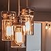 Hudson Bulb Co. Vintage Incandescent Edison Light Bulbs, 60W, E26/E27 Base, 2100K Dimmable Decorative Lights, ST58 Style Warm Glow, Antique Squirrel Filament for Outdoor and Indoor Use - 6 Pack