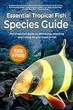 Essential Tropical Fish: Species Guide by Anne Finlay