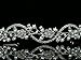 Bridal Flower Rhinestones Crystal Wedding Headband Tiara (Faux Pearl Silver Plated)