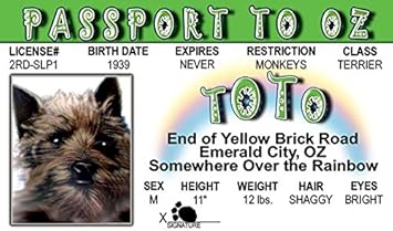 Amazon Com Toto Wizard Of Oz Fun Fake Id License Automotive