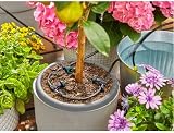 Gardena AquaBloom Solar-Powered Irrigation Set for Balcony & Patio Plants view 19