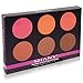 SHANY Cosmetics Fuchsia 6 Color Blush Palette, 8 Ounce