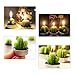 Cactus Candle, HOOKE 6 Pack Decorative Cactus Candles Tea Light Candles for Birthday Party Wedding Spa Home Decoration-3 Styles Mixed Green (Green-3 Styles)