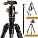 TARION Camera Tripod Monopod 61in with Panorama Ball Head Aluminium Travel Tripod for DSLR Mirrorless Cameras Support Macro Shots Counter Weight 13lb Payload Lightweight 16.9