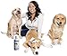 Natural Dog Vitamins Glucosamine Chondroitin MSM - Liquid Vitamins Hip and Joint Health Supplement for Dogs - Nutritional Supplements for Dogs