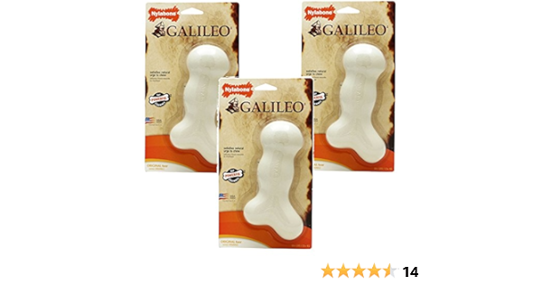 galileo bones for dogs