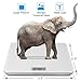 Digital Body Weight Scale - 4 High Precision Sensors Body Weight Scale with Step-On, Auto-Calibrated & Auto ON/Off Technology, Wide Sturdy Tempered Glass Bathroom Scale, Round Corner Safe Design