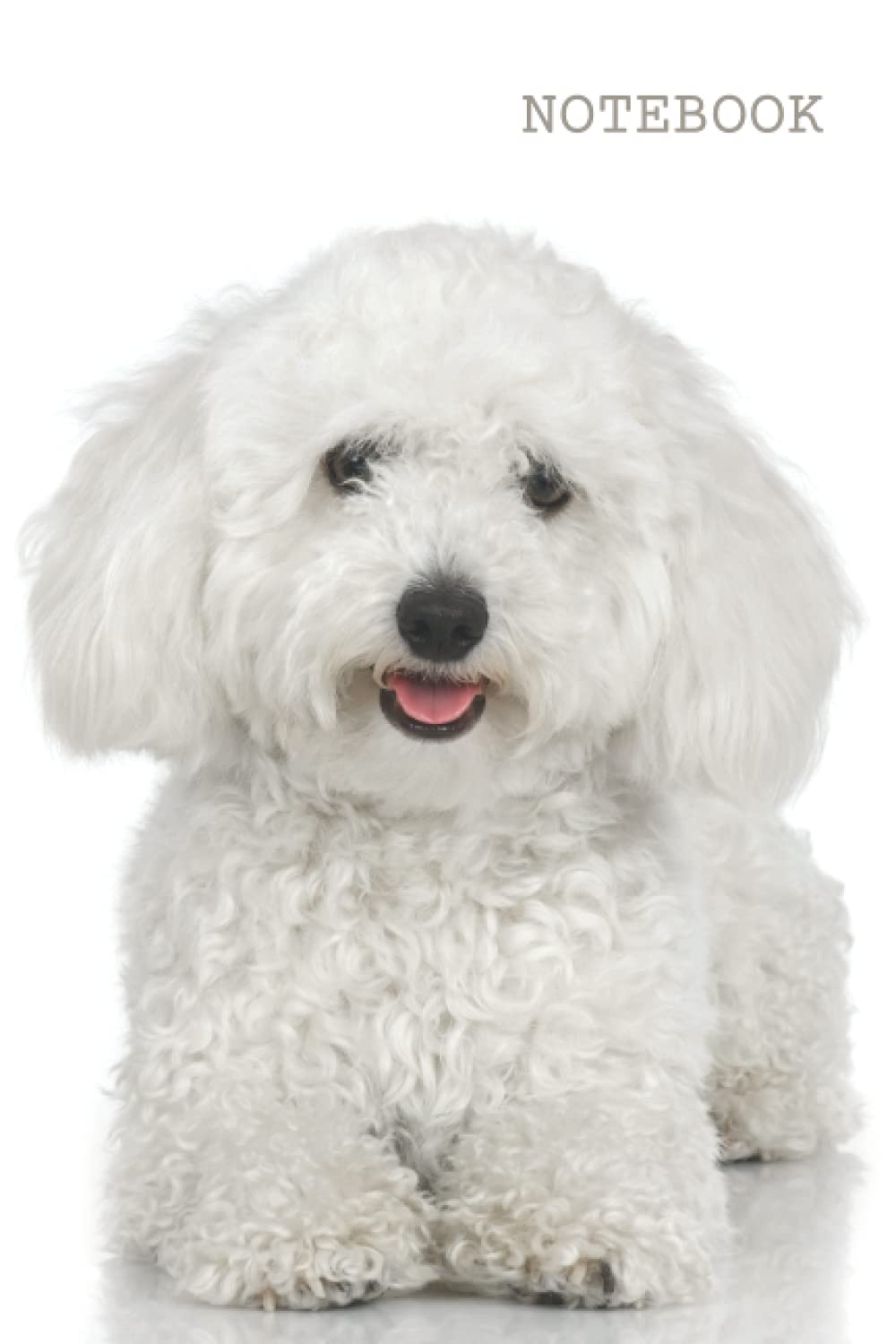 Bichon Lover Notebook: 120 page, college-ruled, glossy (Dog Lover Notebooks)