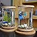 AZXAZ LED Desktop Aquarium Rotatable Mini Transparent Fish Tank Micro-Cylinder Aquarium with Wood Base Desktop Decor 14.5x18cmthumb 2