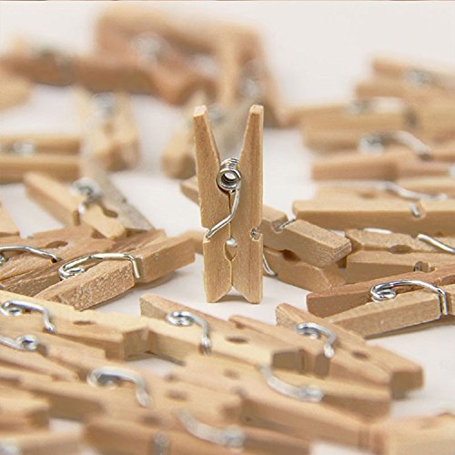 Craft Decore 100 Pcs Mini DIY Wooden Clothespin Photo Paper Pegs Clothespin Cards Craft Clips