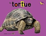 La tortue by