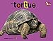 La tortue by