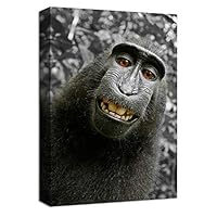 Canvas Wall Art Cute Cat Canvas Prints Home Artwork Decoration for Living Room,Bedroom - 12x18 inches