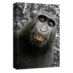 signwin Canvas Wall Art Cute Cat Canvas Prints...