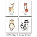 Woodland Animals Poster Prints - Deer Fox Owl Racoon Wall Decor, Nursery Art for Kids Room, Animal Posters For Bedroom, Baby Shower Present Idea, 8