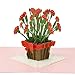 Paper Love Carnations Pop Up Cards (Carnation V1)