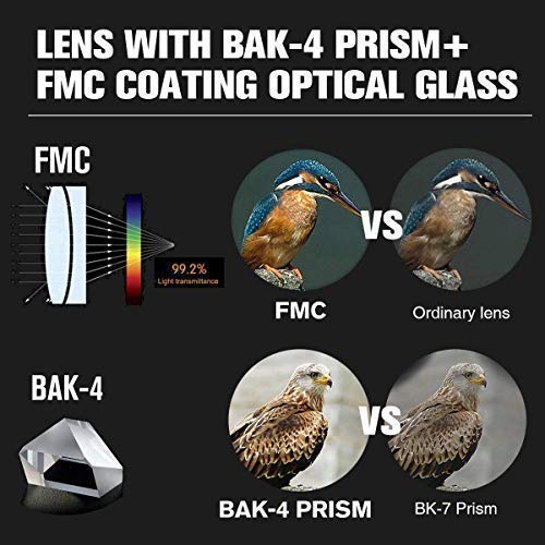 CELINELLE Monocular Telescope 12x50 High Power Waterproof Monocular with Scope Phone Mount & Tripod Monocular Compact Scope BAK4 Prism FMC Monoculars Adults Hunting Birdwatching Camping Travelling